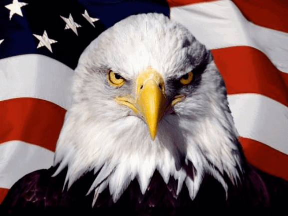 eagleflag